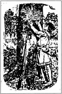 Colonial Man