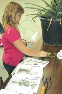 Ag in the Classroom